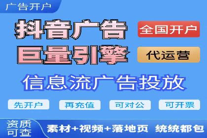 百度竞价广告的投放策略与成功案例分析